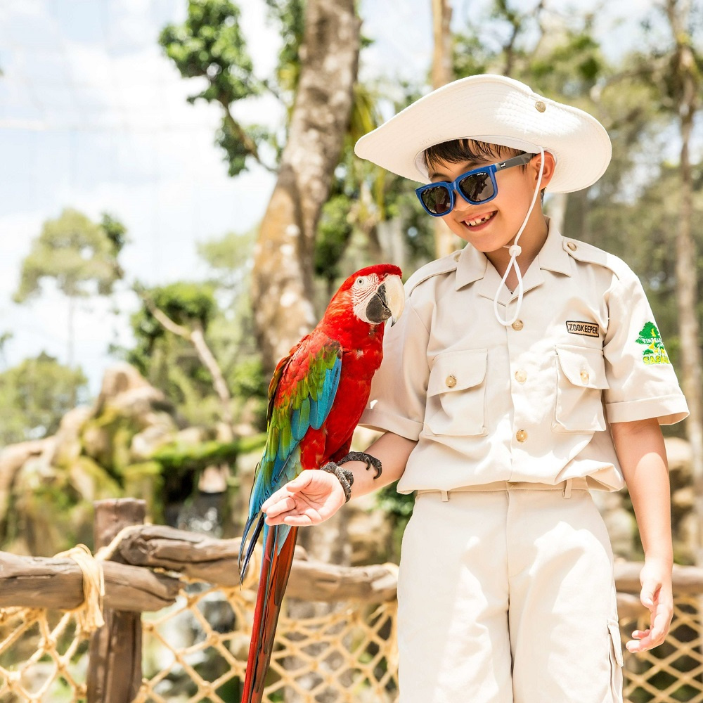 Safari
